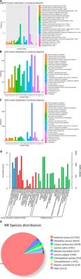 Transcriptome analysis of Artemisia argyi following methyl jasmonate (MeJA) treatment and the mining of genes related to the stress resistance pathway